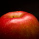 Illustration for article titled Did an Inspirational Apple Really Fall on Newton's Head?